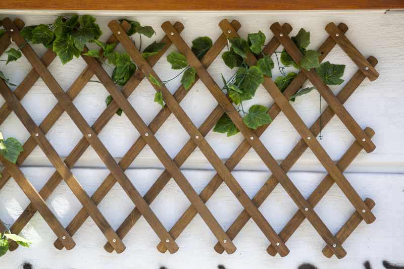 Podpory dla pnączy: kratki metalowe, drewniane, z tworzywa – idealne wsparcie dla roślin pnących